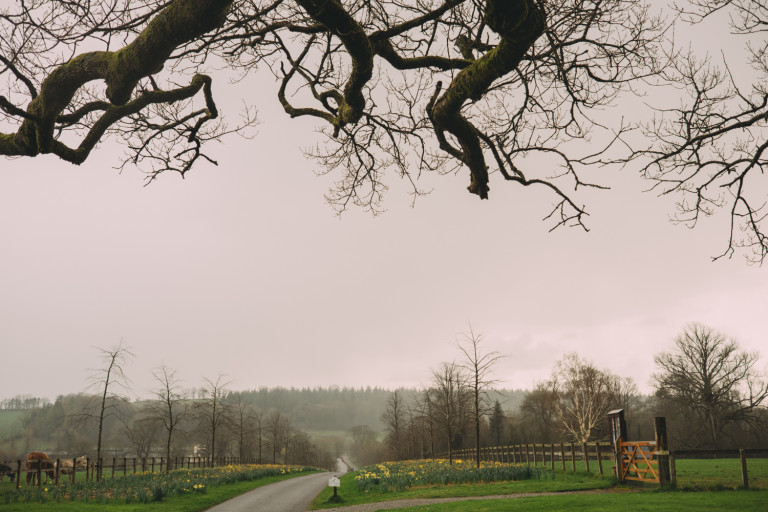 Ireland // Cork & Southwest Coast