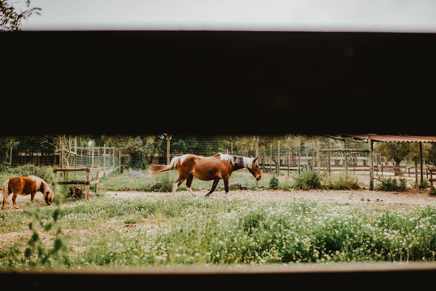 moinho novo rural wedding portugal alentejo the framers wedding photography - 16