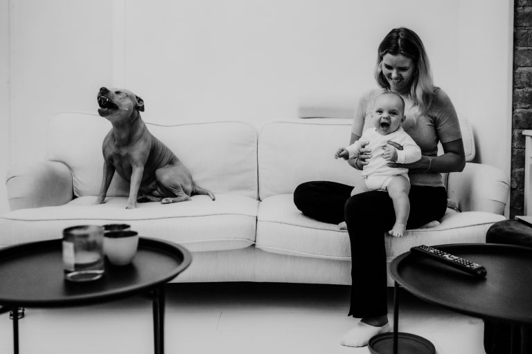 the framers - best of pregnancy and family