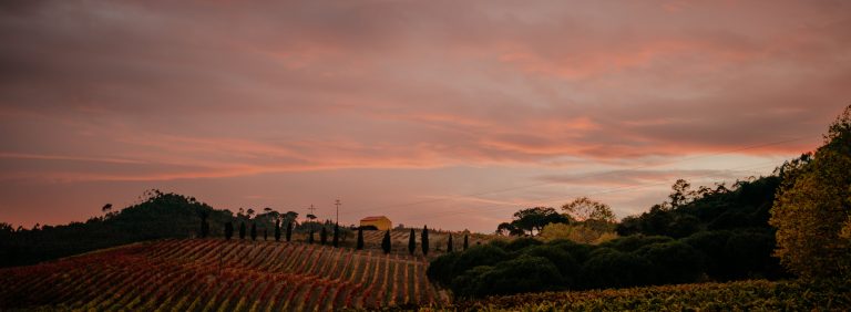 quinta de sant'ana rainbow wedding the framers